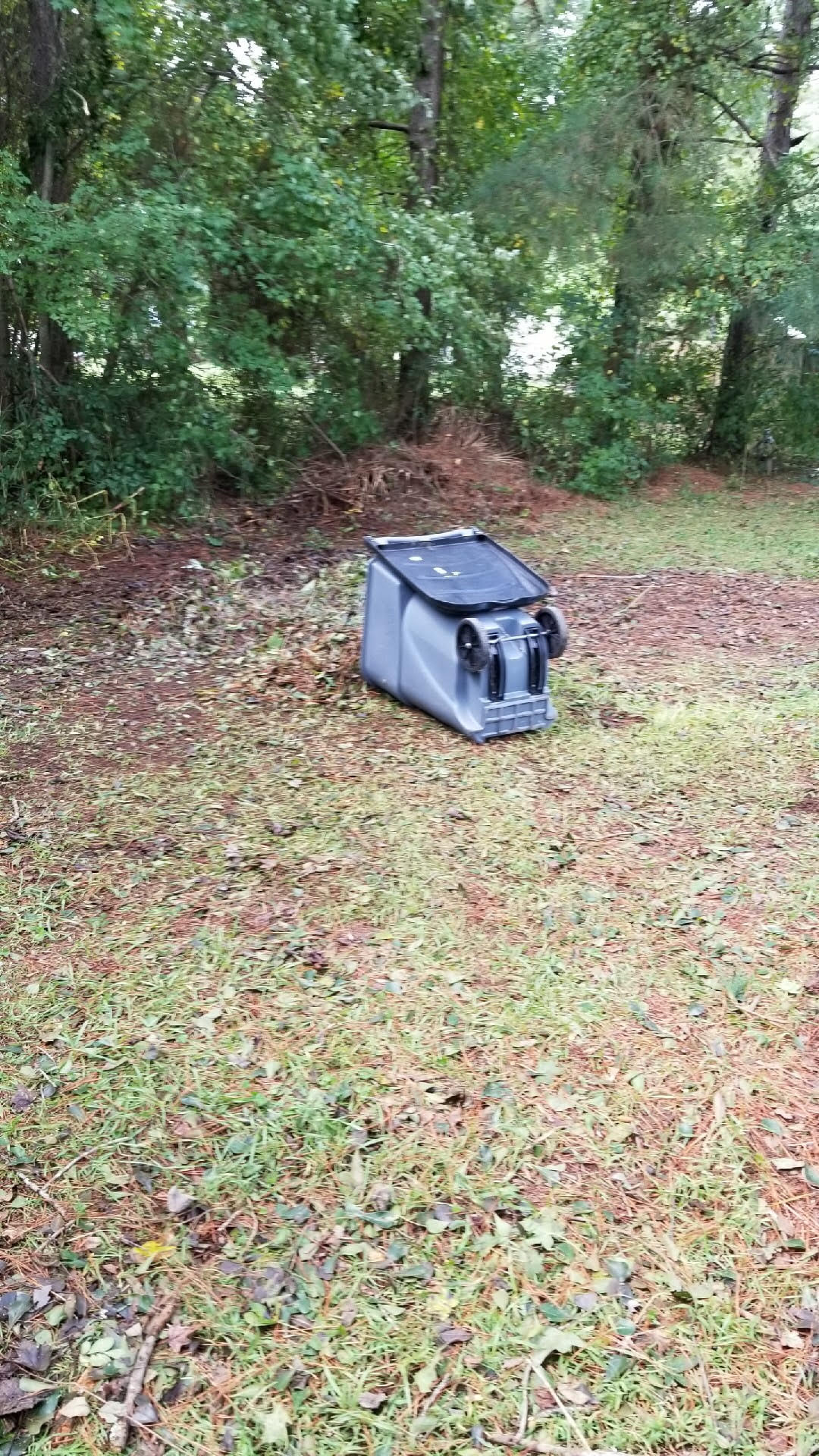Brush and Branches All Cleaned Up | Greenville, NC